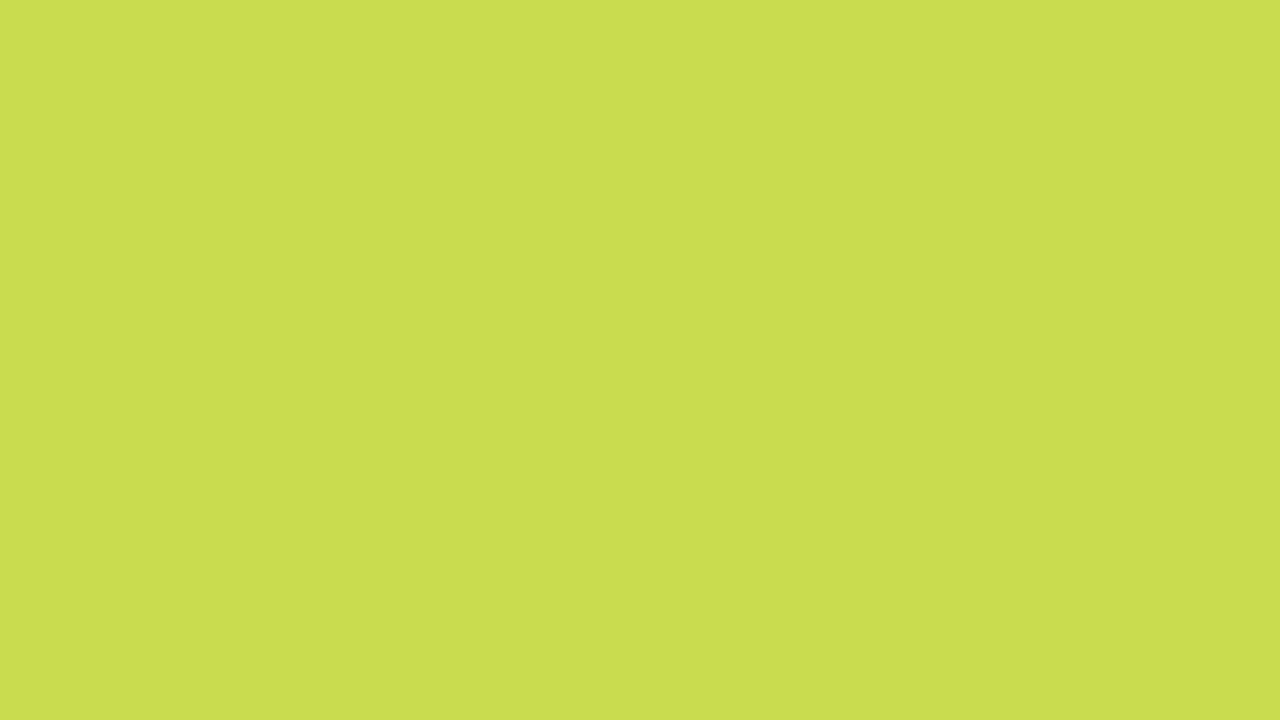 Spotify - Andre Matsutake